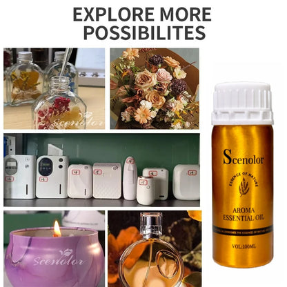 100 ml France célèbre marque pour diffuseur français longue durée