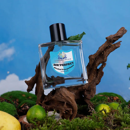 Parfum de Marque pour Homme 100ml Cologne Phéromone Parfums Homme