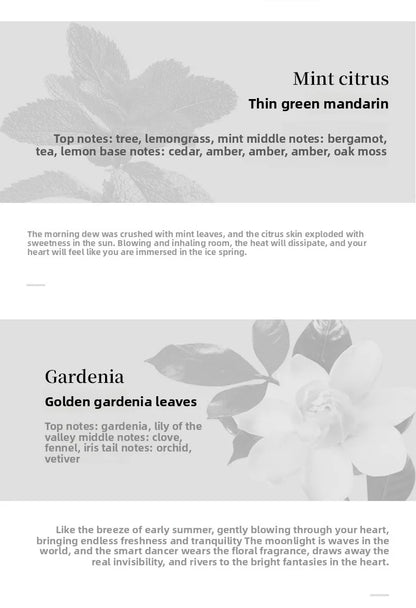 Parfum d'aromathérapie diffuseur de voiture