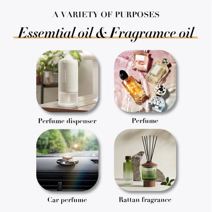 100 ml France célèbre marque pour diffuseur français longue durée