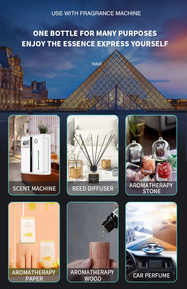 100 ml France célèbre marque pour diffuseur français longue durée