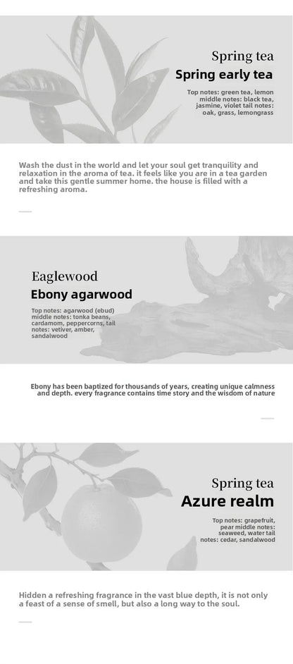 Parfum d'aromathérapie diffuseur de voiture