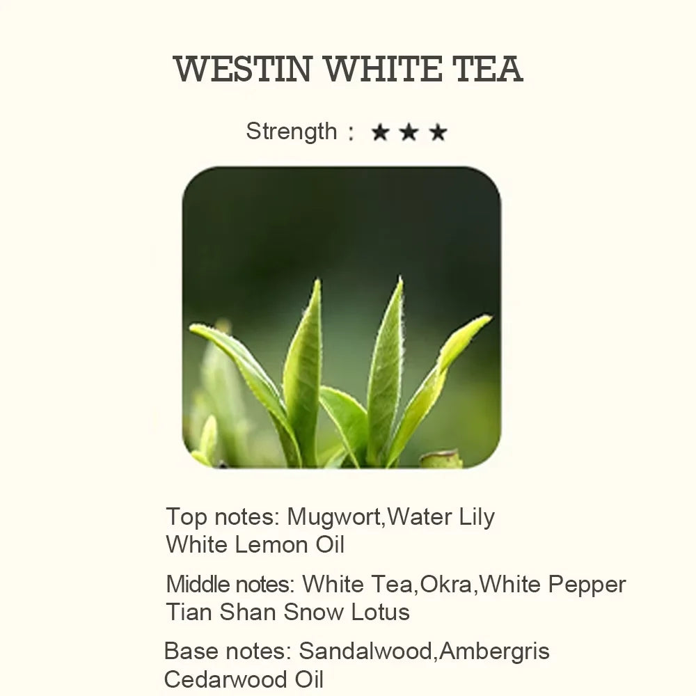 Huile Essentielle Diffuseur d'Arôme, sexuellement Néroli, Nouveau, 500 ml