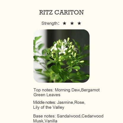 Huile Essentielle Diffuseur d'Arôme, sexuellement Néroli, Nouveau, 500 ml