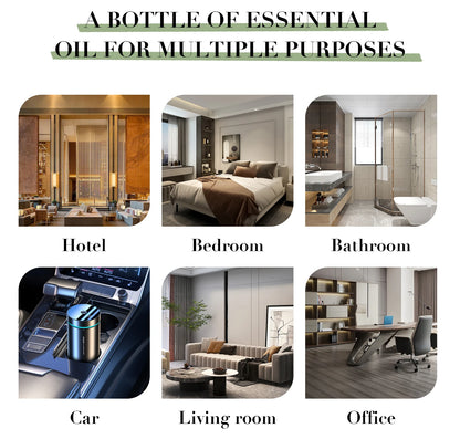 100 ml France célèbre marque pour diffuseur français longue durée