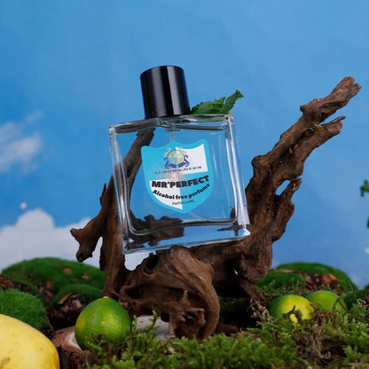 Parfum de Marque pour Homme 100ml Cologne Phéromone Parfums Homme
