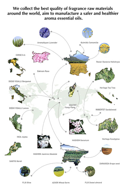 100 ml France célèbre marque pour diffuseur français longue durée