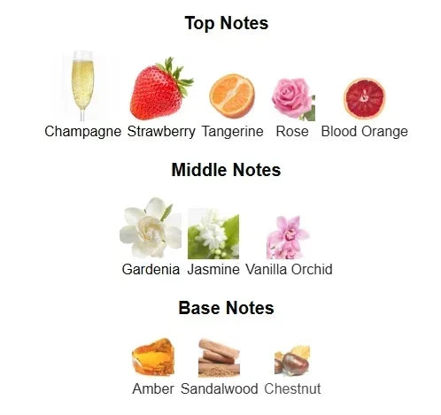 Transmission De phéromone dateable nouveau 100ml