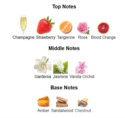 Transmission De phéromone dateable nouveau 100ml